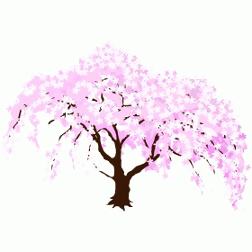 全タウン配布　満開の桜