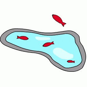 H製　金魚付き池
