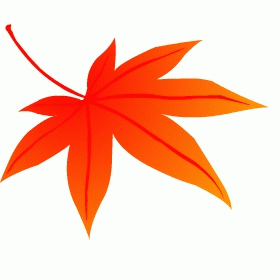 H製　紅葉の葉1枚