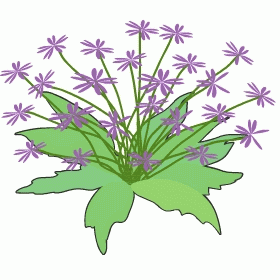 P製　紫のお花